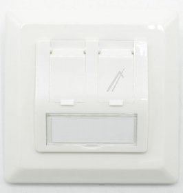 Delock Keystone Module - Keystone Wall Outlet 2 Port