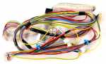 Harness - 81742125 Main Wiring Dfi 76950