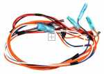 Harness - 17476000000189 Main Wire Harness