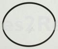 Square Belt - 46mm*1,1mm Square Belt